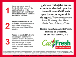 Eres eligible par Disaster CalFresh Food Benfits?